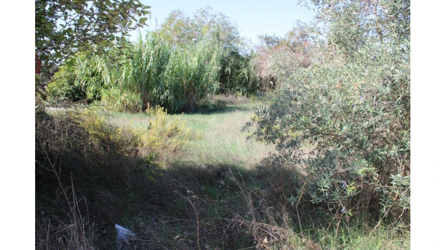 Terreno para Venda em Paialvo