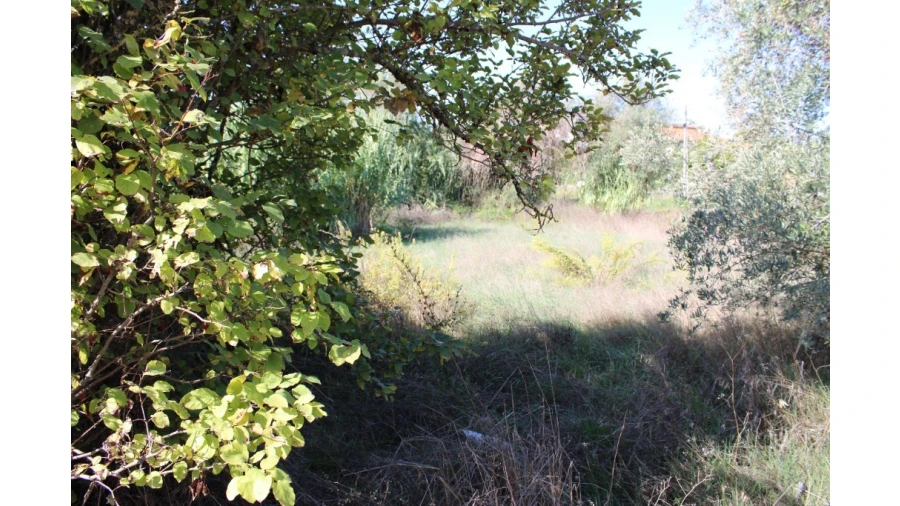 Terreno para Venda em Paialvo Foto 3