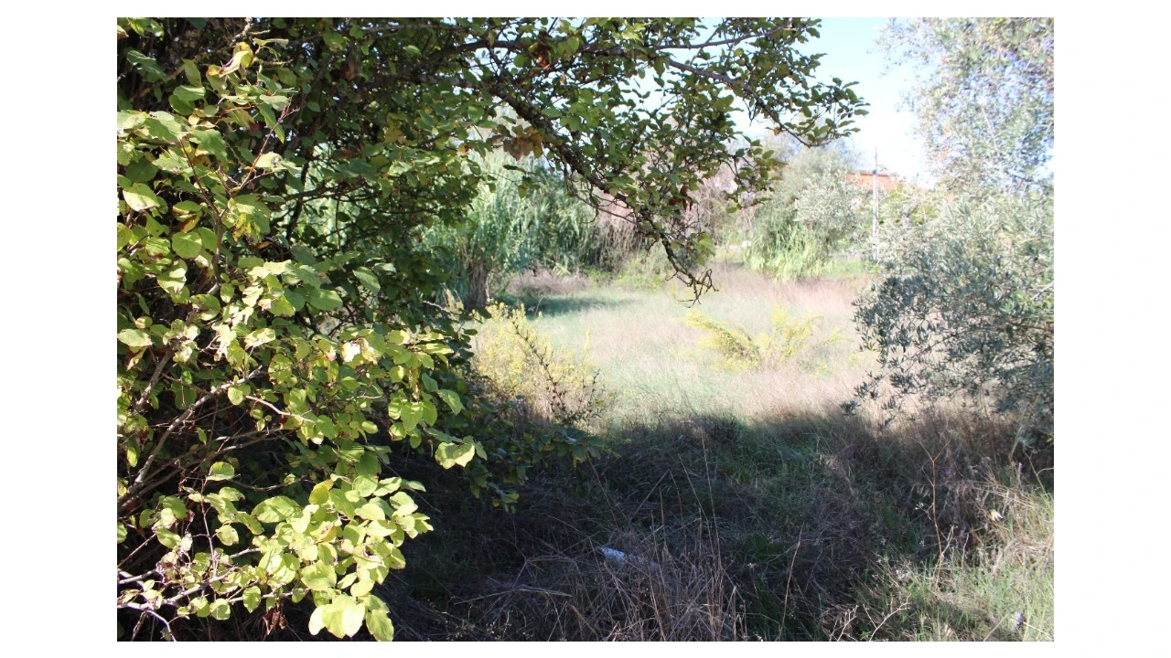 Terreno para Venda em Paialvo Foto 3
