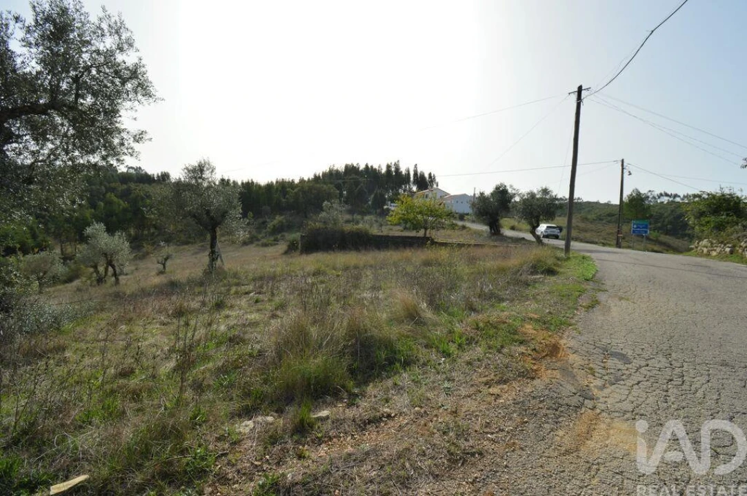 Terreno para Venda em Alvorge Foto 3