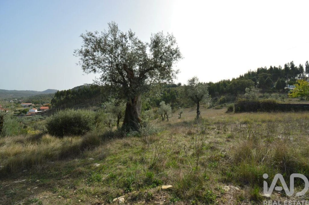 Terreno para Venda em Alvorge Foto 4