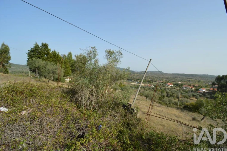 Terreno para Venda em Alvorge Foto 5