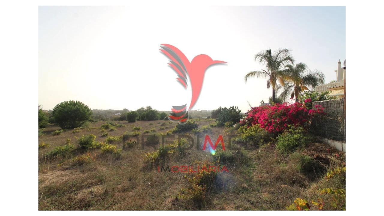 Terreno para Venda em Porches Foto 14