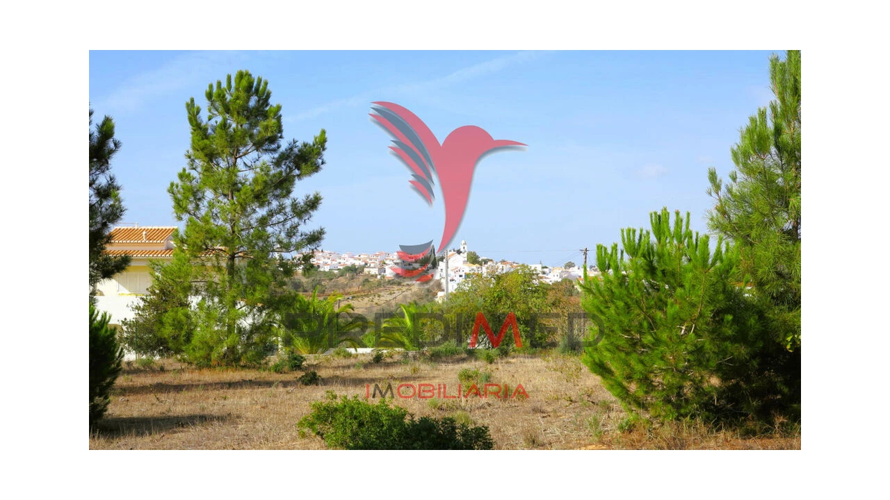 Terreno para Venda em Porches Foto 9