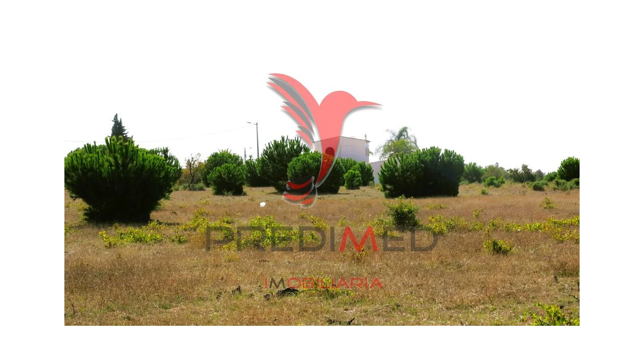 Terreno para Venda em Porches Foto 10