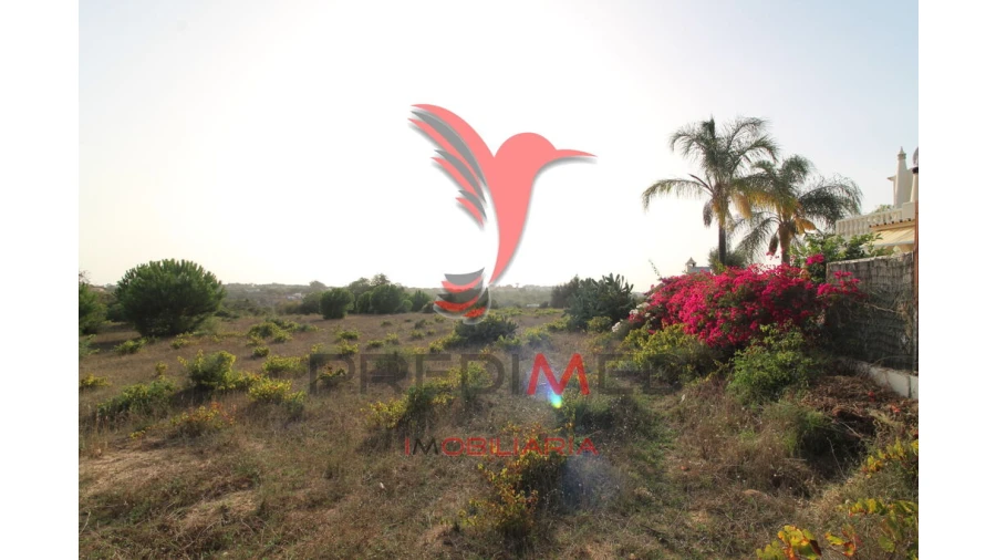 Terreno para Venda em Porches Foto 14