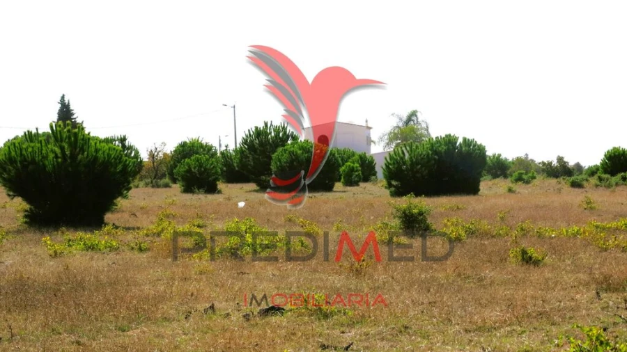 Terreno para Venda em Porches Foto 10