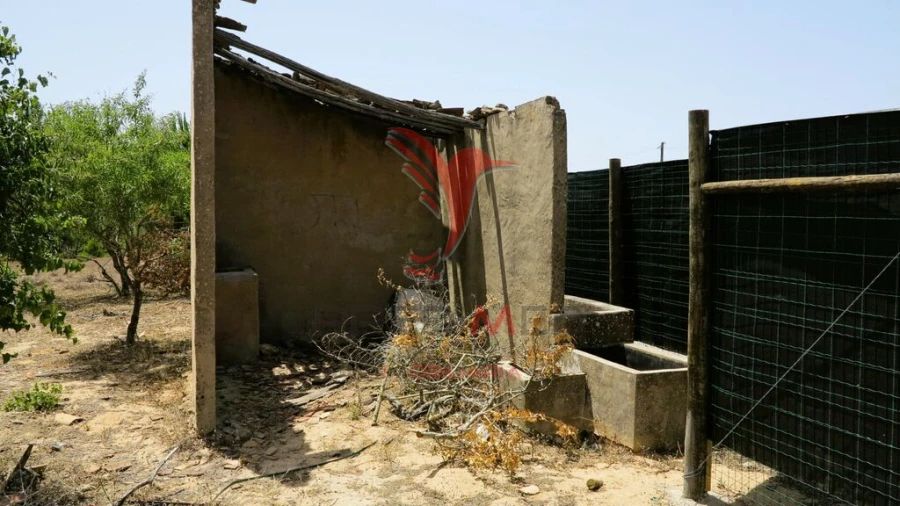 Terreno para Venda em Porches Foto 16