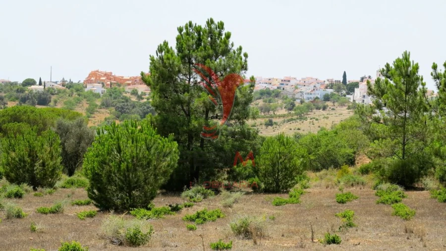 Terreno para Venda em Porches Foto 7