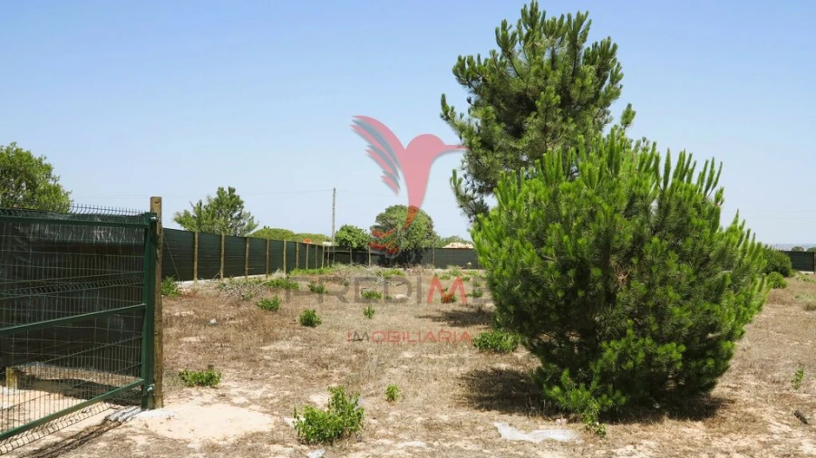 Terreno para Venda em Porches Foto 17