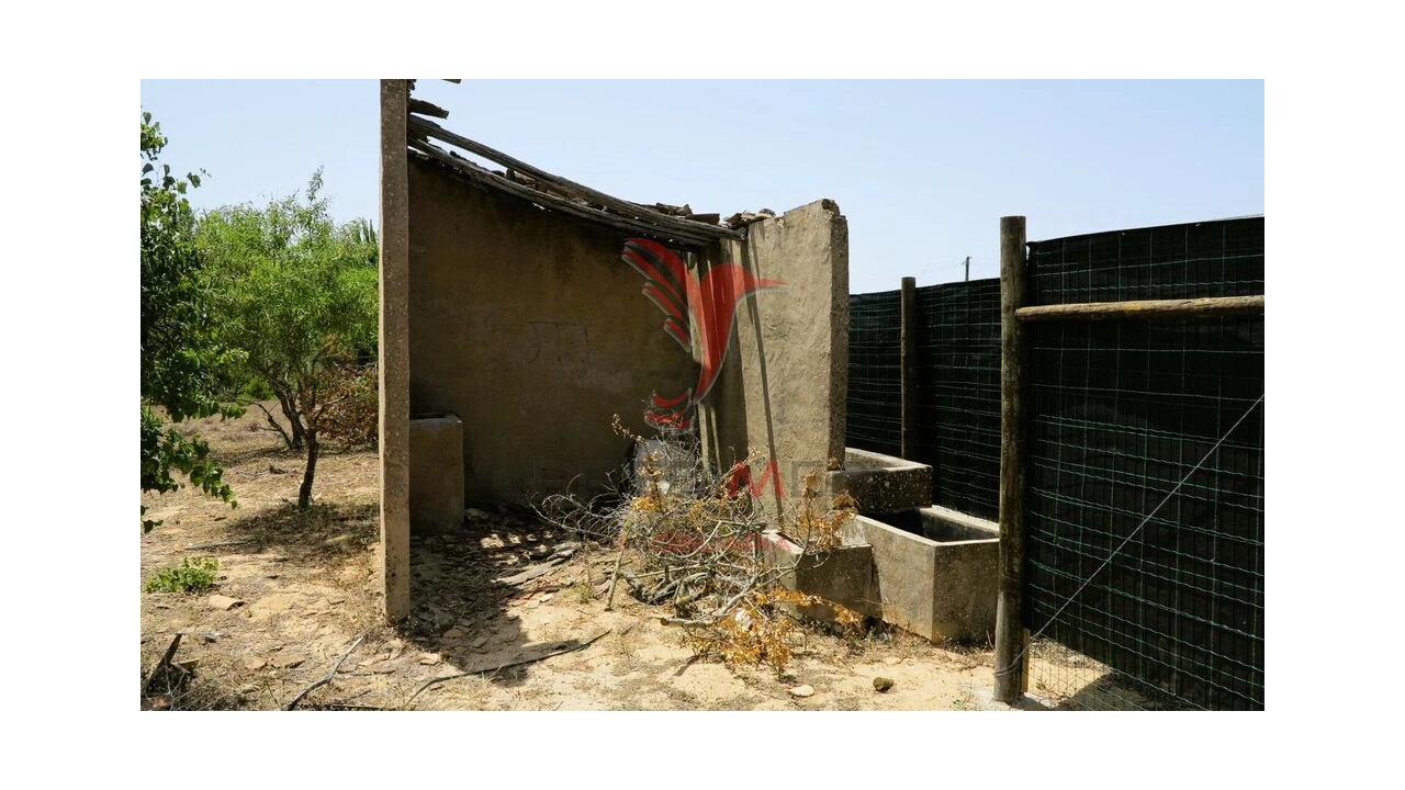 Terreno para Venda em Porches Foto 16