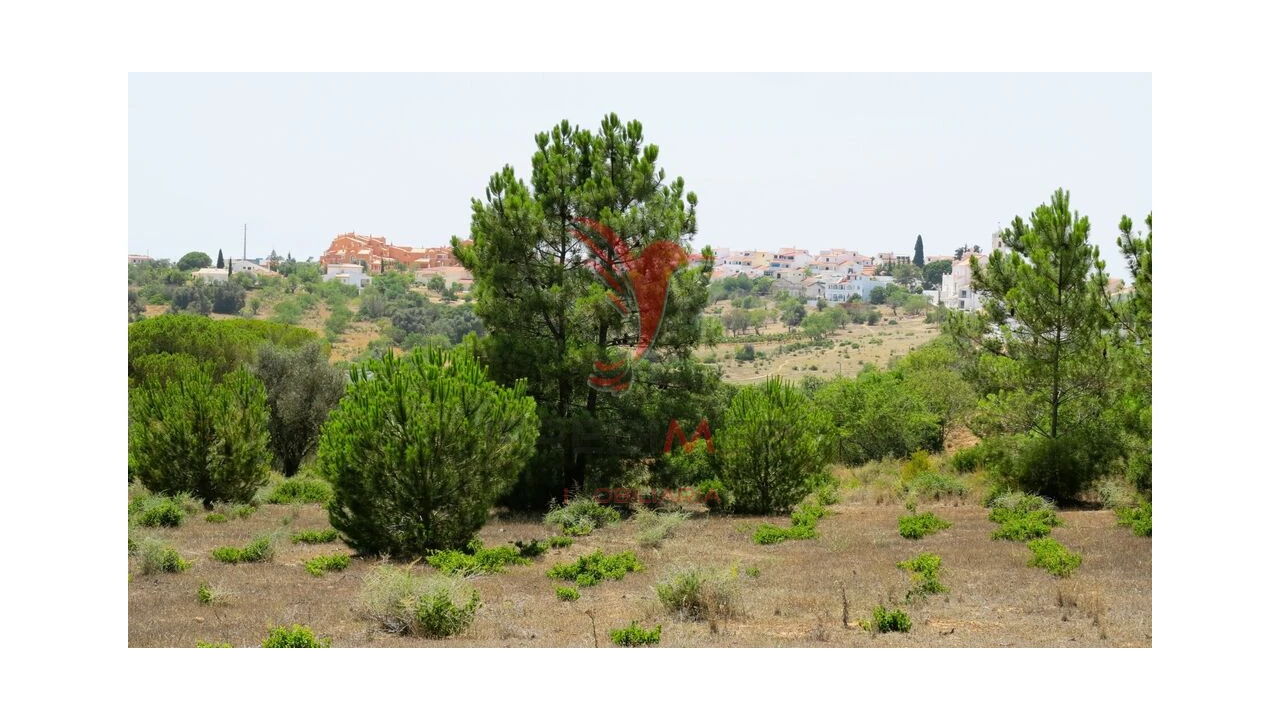Terreno para Venda em Porches Foto 7