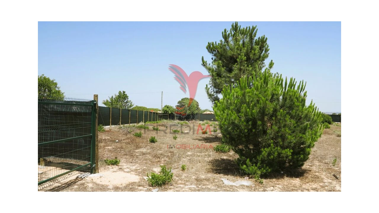 Terreno para Venda em Porches Foto 17