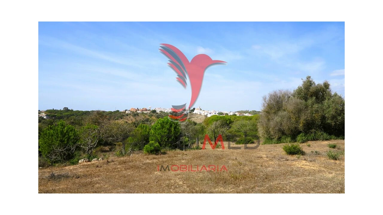 Terreno para Venda em Porches Foto 11