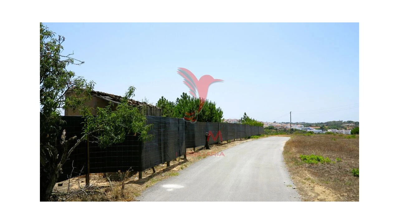 Terreno para Venda em Porches Foto 4