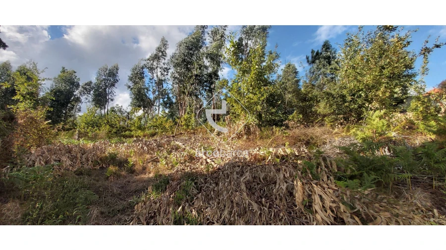 Terreno para Venda em Refoios do Lima Foto 5