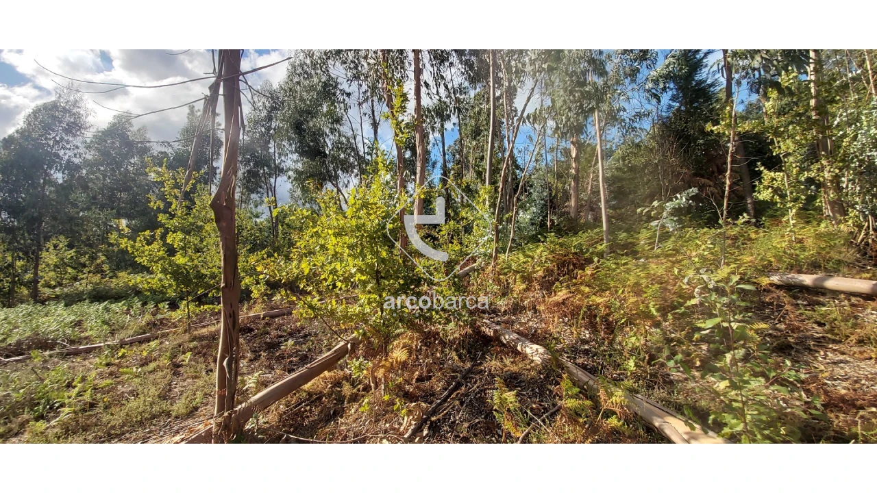 Terreno para Venda em Refoios do Lima Foto 2