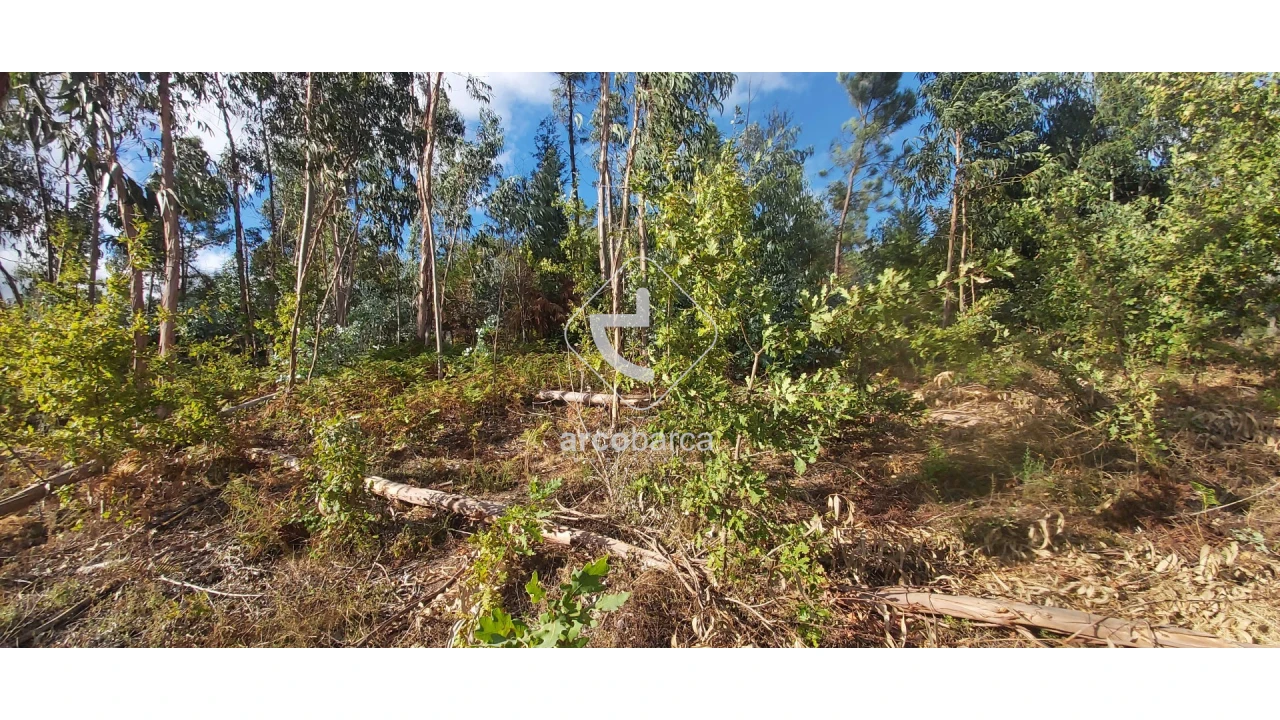 Terreno para Venda em Refoios do Lima Foto 4