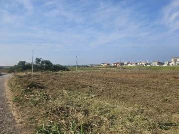 Terreno para Venda em Carreço