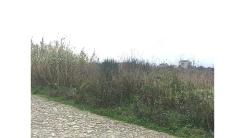 Terreno para Venda em Carreço
