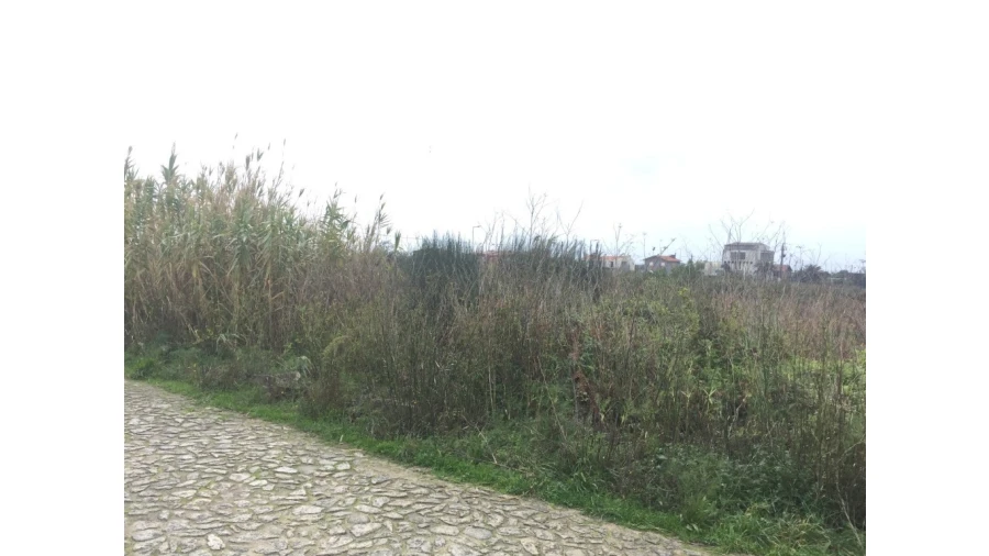 Terreno para Venda em Carreço Foto 10