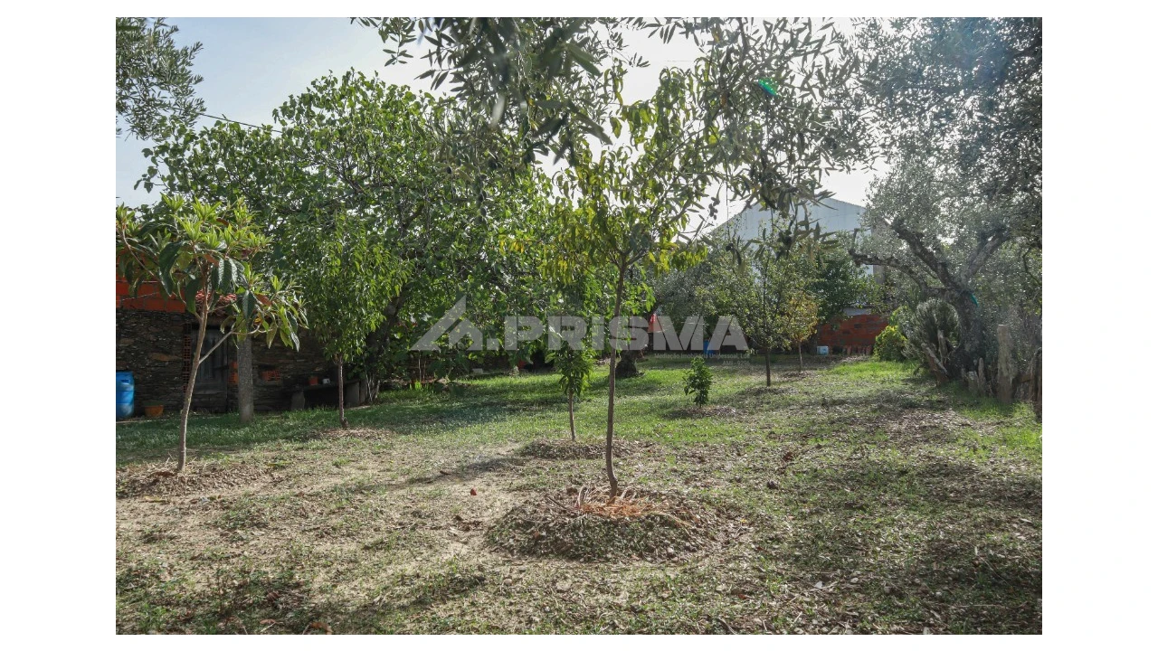 Terreno para Venda em Sarnadas de Rodão Foto 5