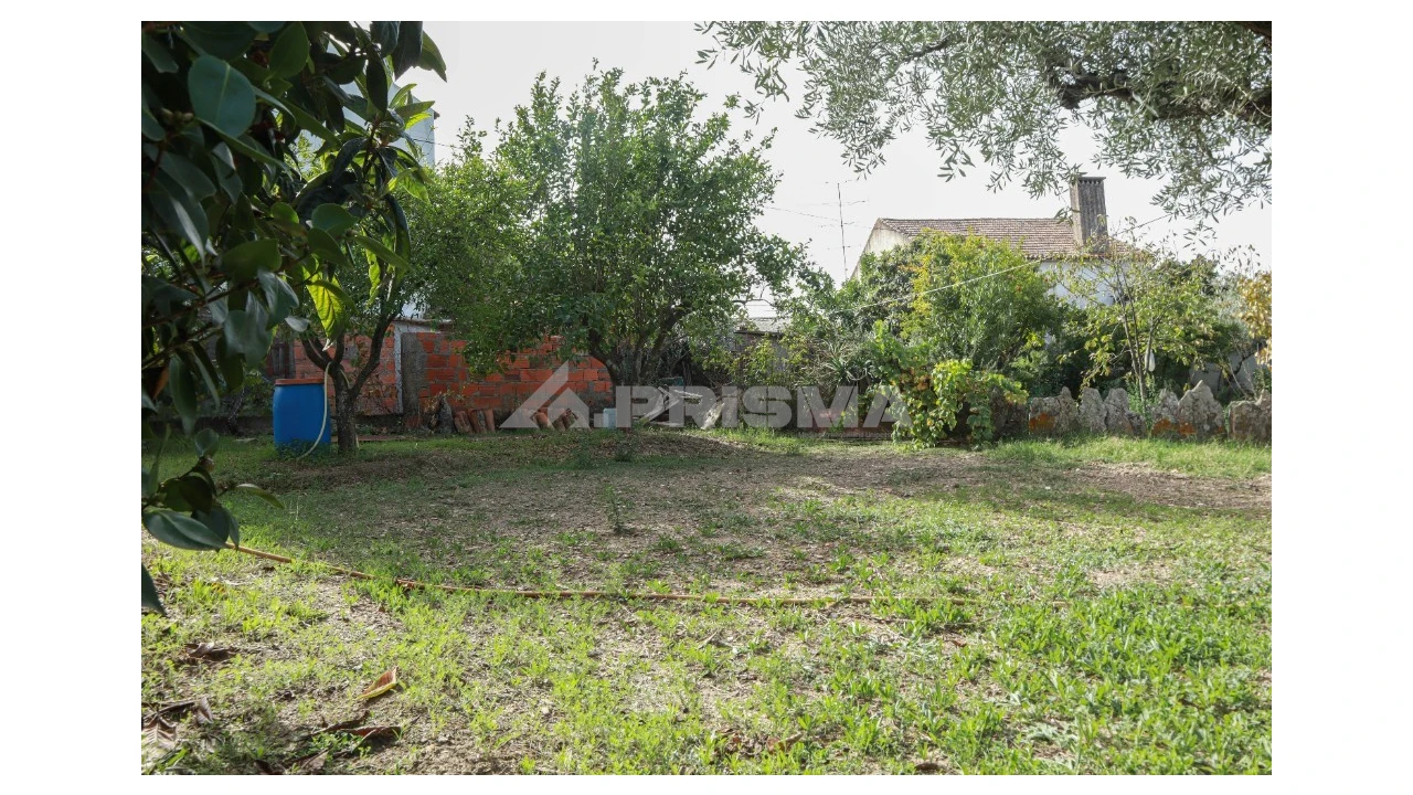 Terreno para Venda em Sarnadas de Rodão Foto 14