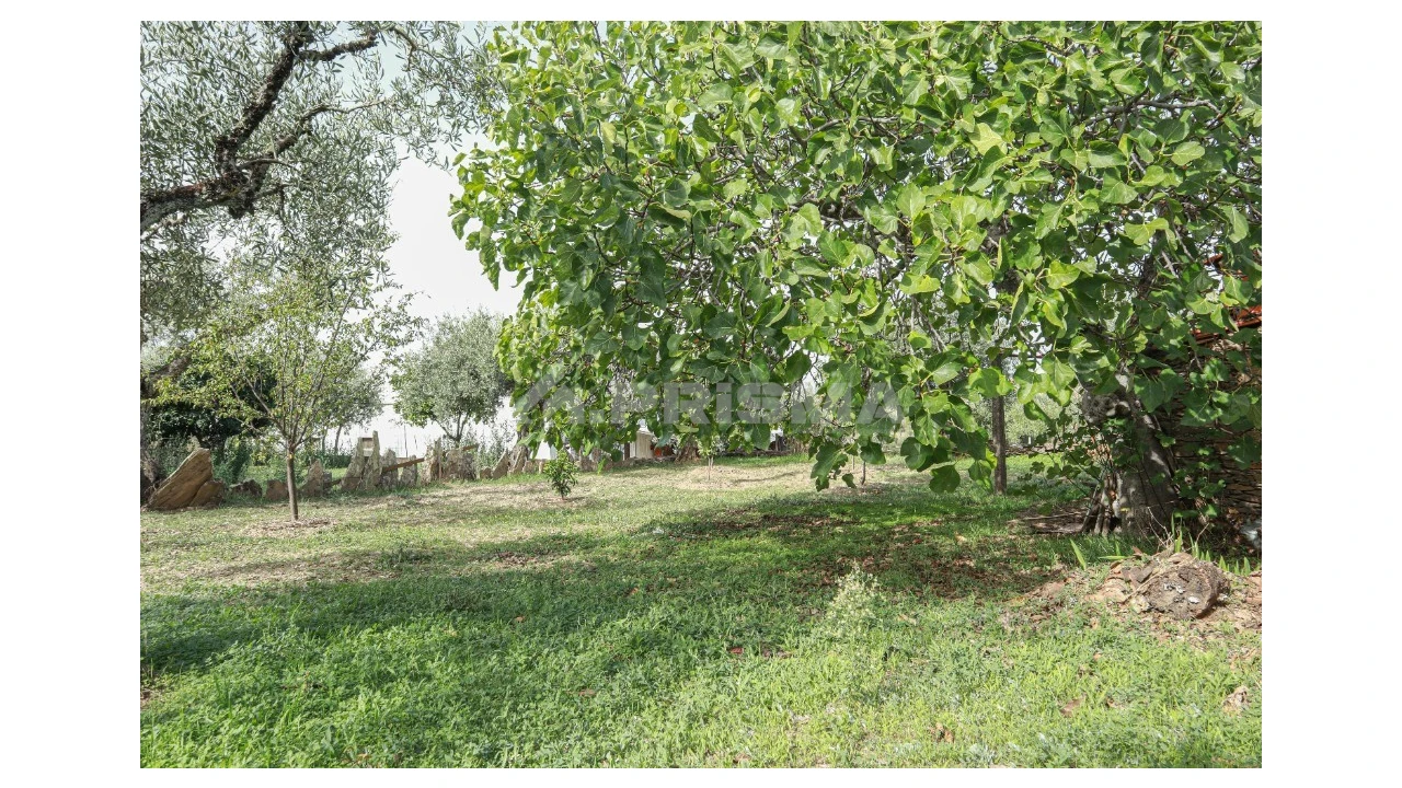 Terreno para Venda em Sarnadas de Rodão Foto 6