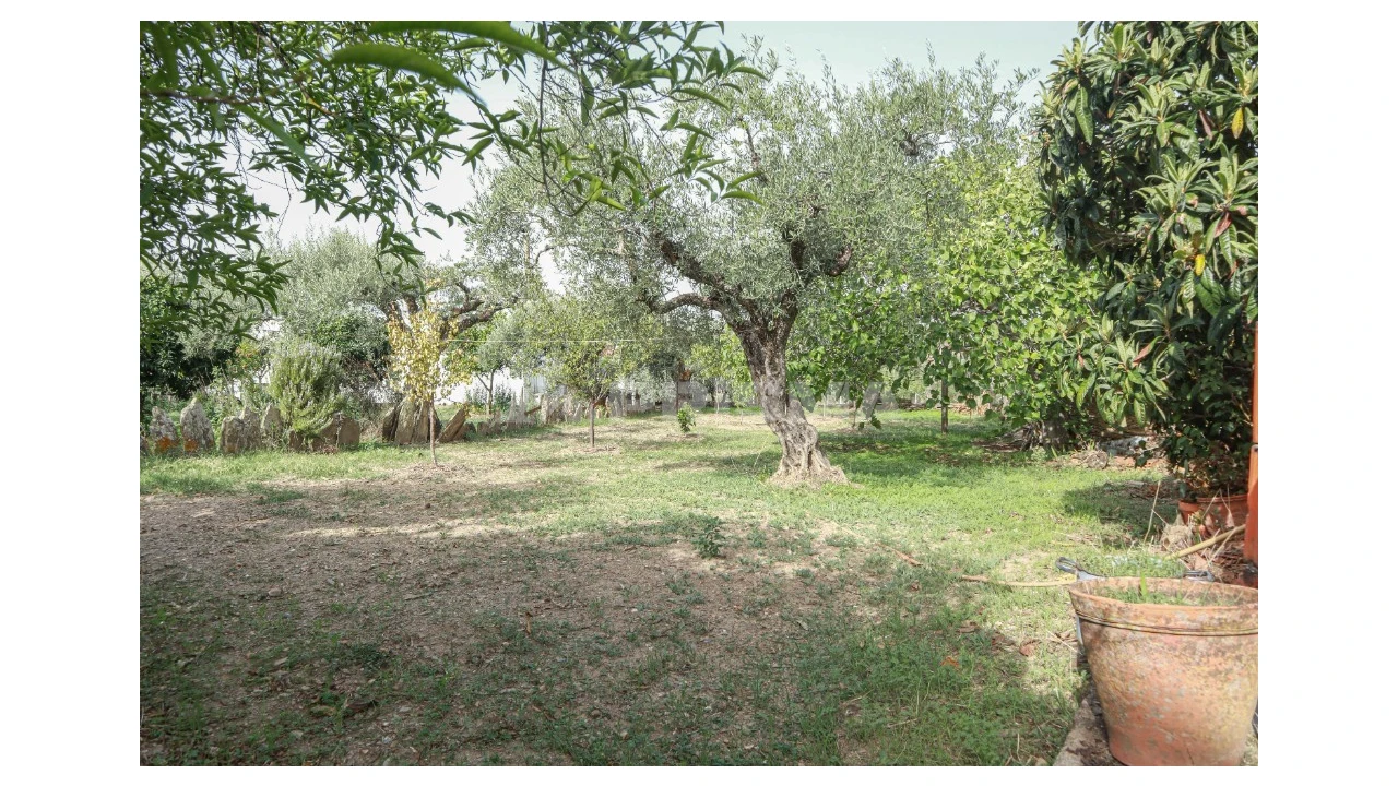 Terreno para Venda em Sarnadas de Rodão Foto 13