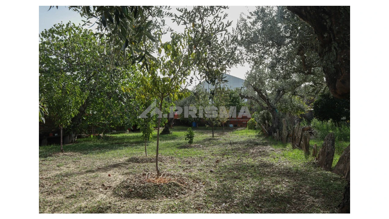 Terreno para Venda em Sarnadas de Rodão Foto 12
