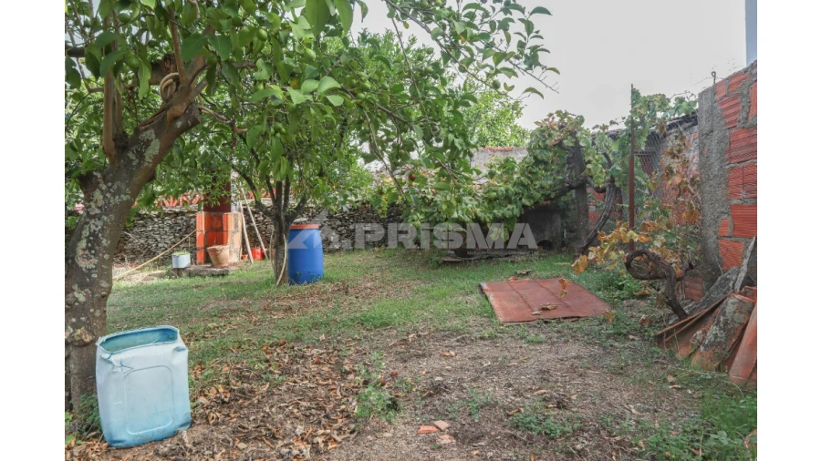 Terreno para Venda em Sarnadas de Rodão Foto 8