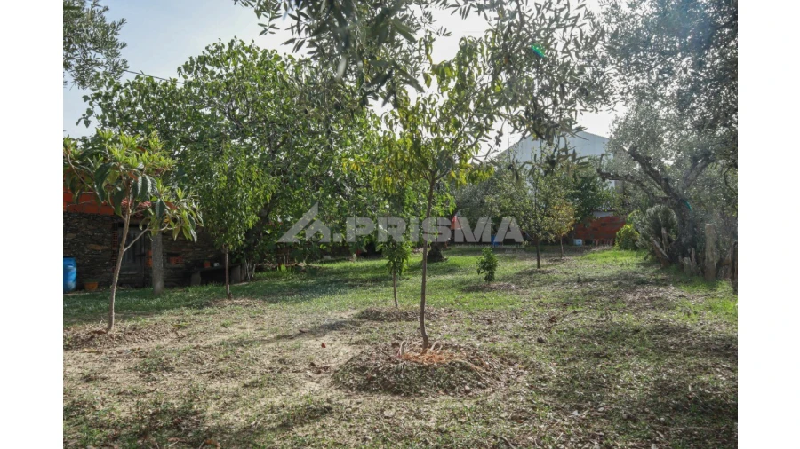 Terreno para Venda em Sarnadas de Rodão Foto 5