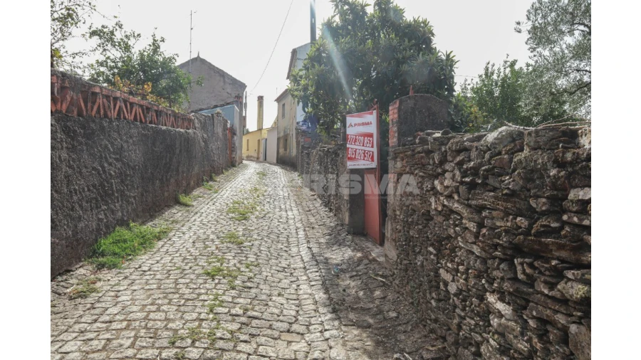 Terreno para Venda em Sarnadas de Rodão Foto 16