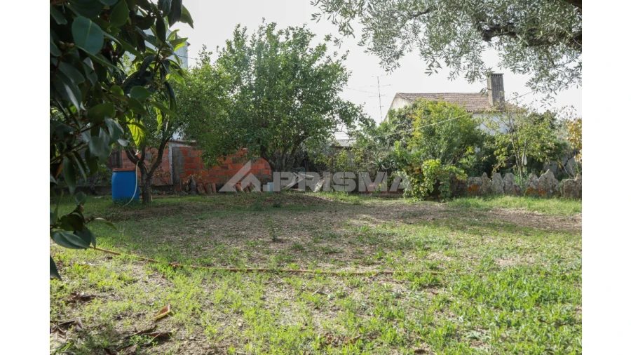 Terreno para Venda em Sarnadas de Rodão Foto 14