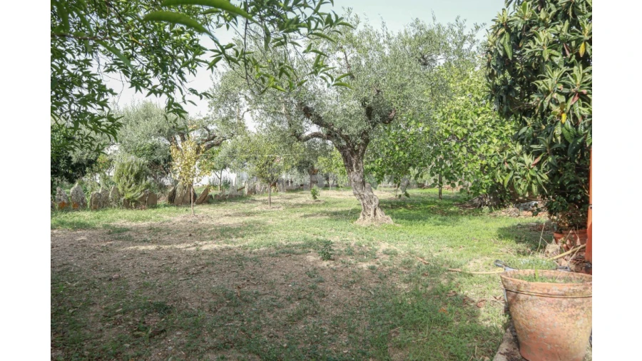 Terreno para Venda em Sarnadas de Rodão Foto 13