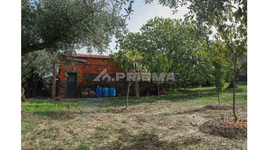Terreno para Venda em Sarnadas de Rodão Foto 11