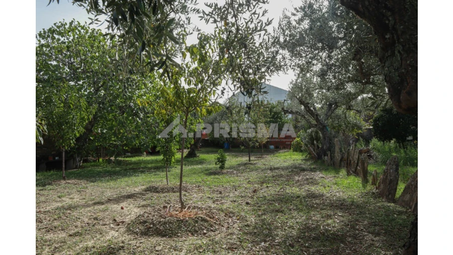 Terreno para Venda em Sarnadas de Rodão Foto 12