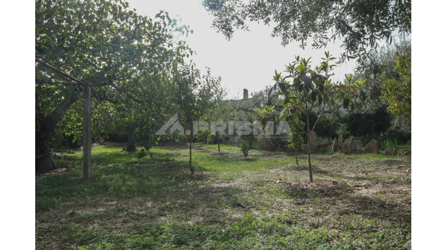 Terreno para Venda em Sarnadas de Rodão Foto 10