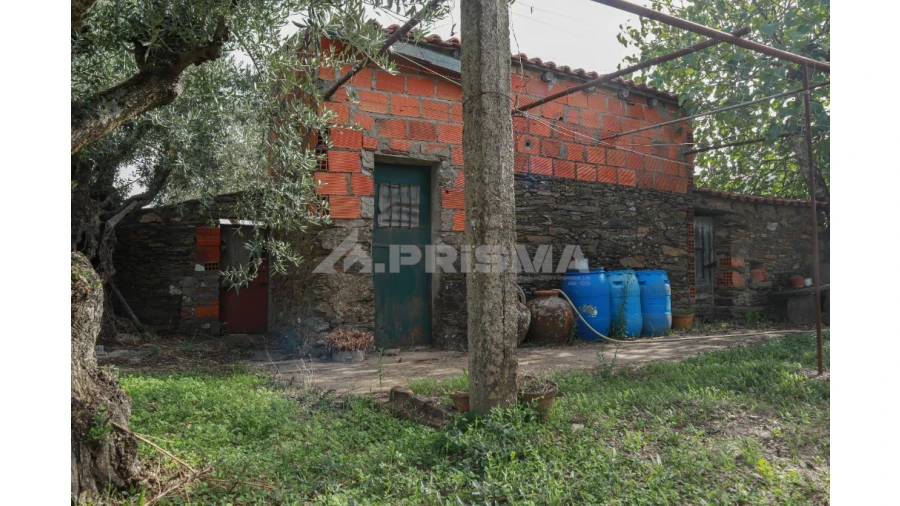 Terreno para Venda em Sarnadas de Rodão