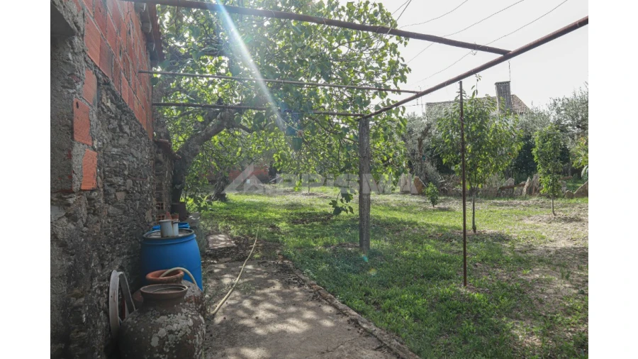 Terreno para Venda em Sarnadas de Rodão Foto 3