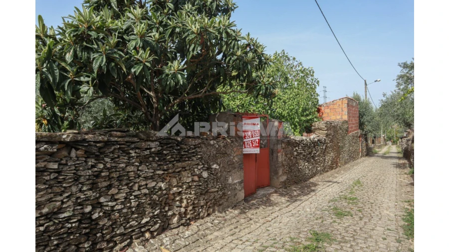 Terreno para Venda em Sarnadas de Rodão Foto 4