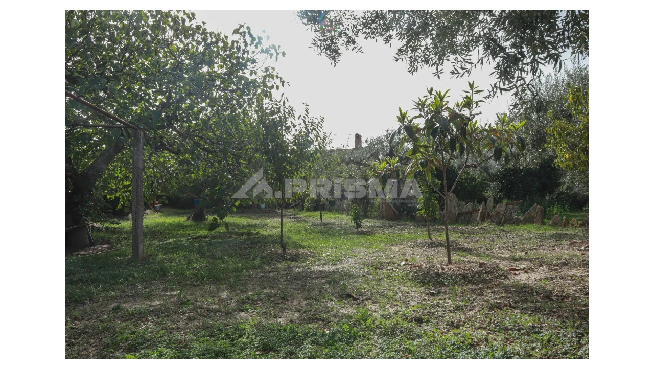 Terreno para Venda em Sarnadas de Rodão Foto 10