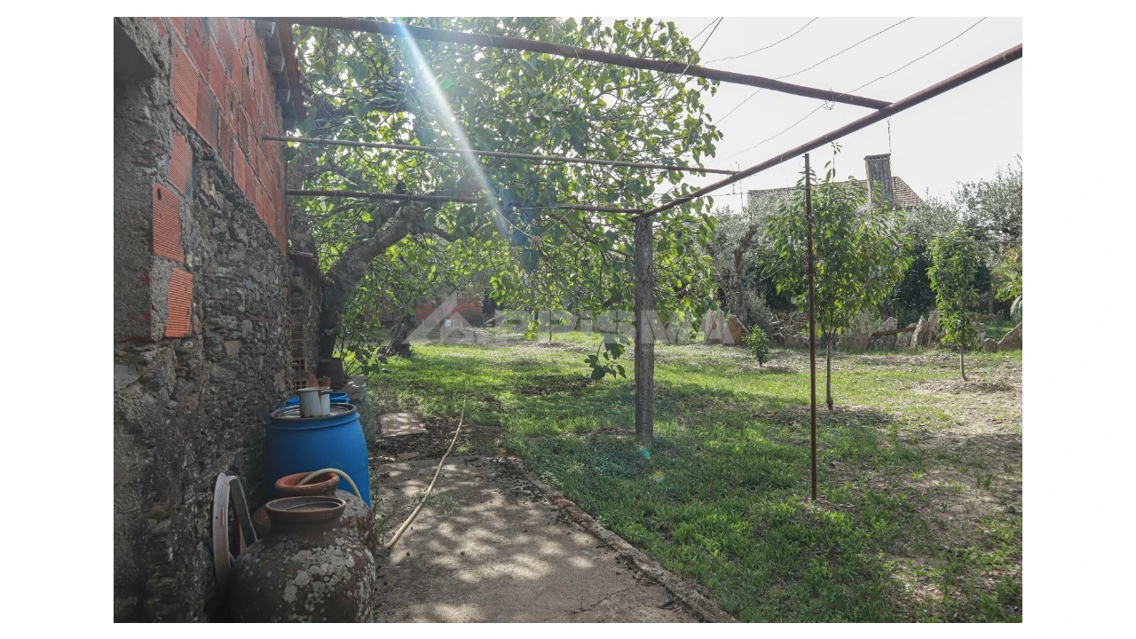Terreno para Venda em Sarnadas de Rodão Foto 3