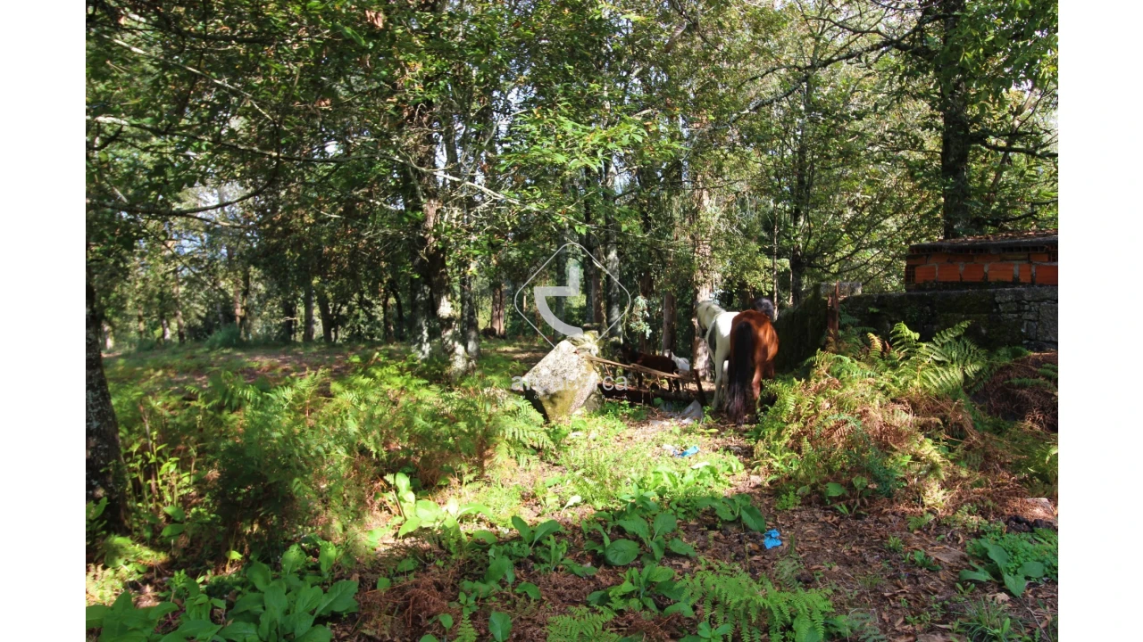 Quinta T5 para Venda em Gondoriz Foto 17