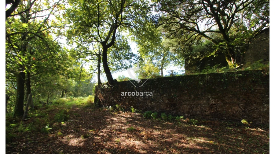 Quinta T5 para Venda em Gondoriz Foto 24