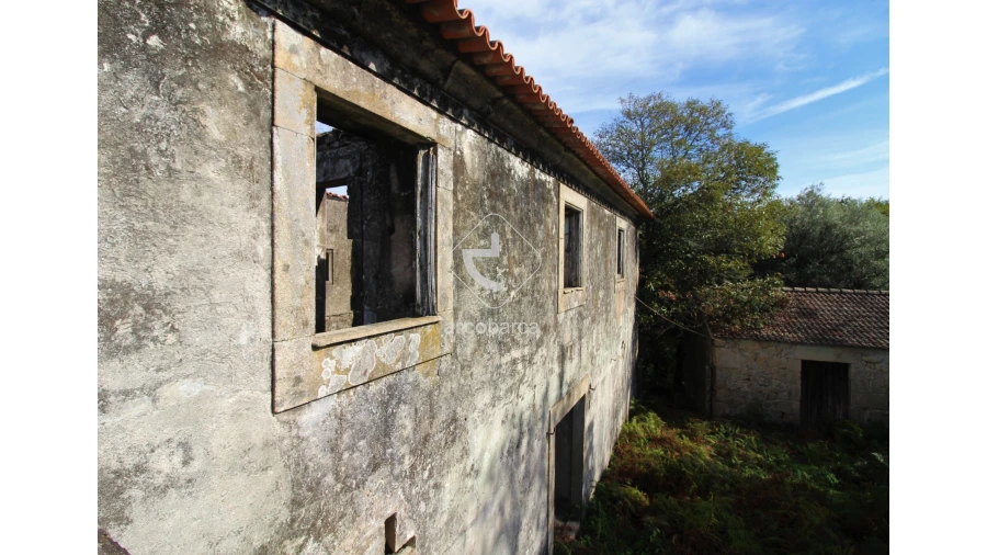 Quinta T5 para Venda em Gondoriz Foto 8