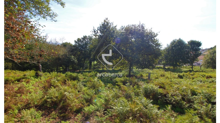 Quinta T5 para Venda em Gondoriz Foto 18