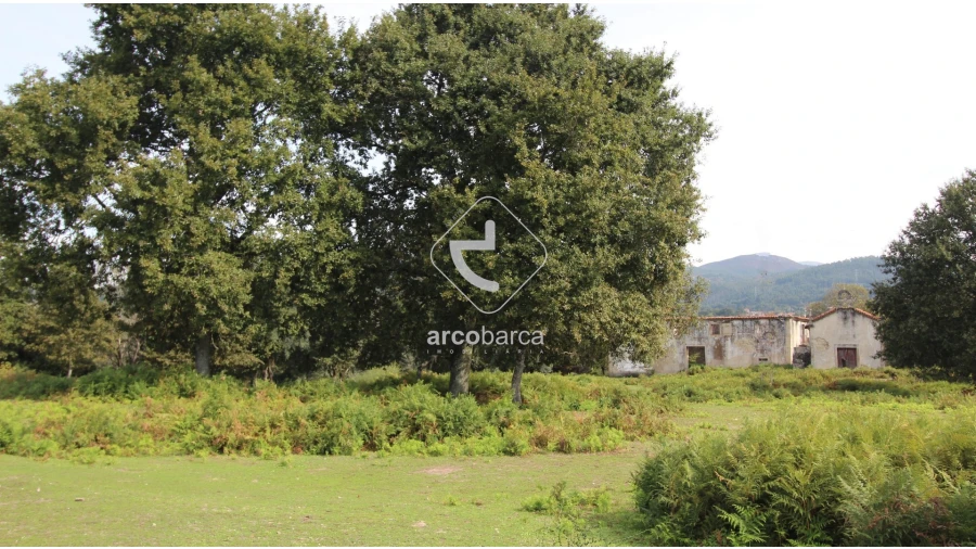 Quinta T5 para Venda em Gondoriz Foto 34