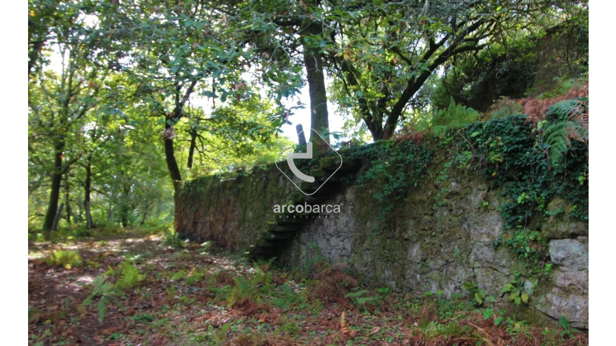 Quinta T5 para Venda em Gondoriz Foto 26