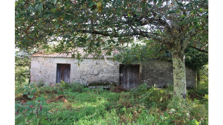 Quinta T5 para Venda em Gondoriz Foto 53